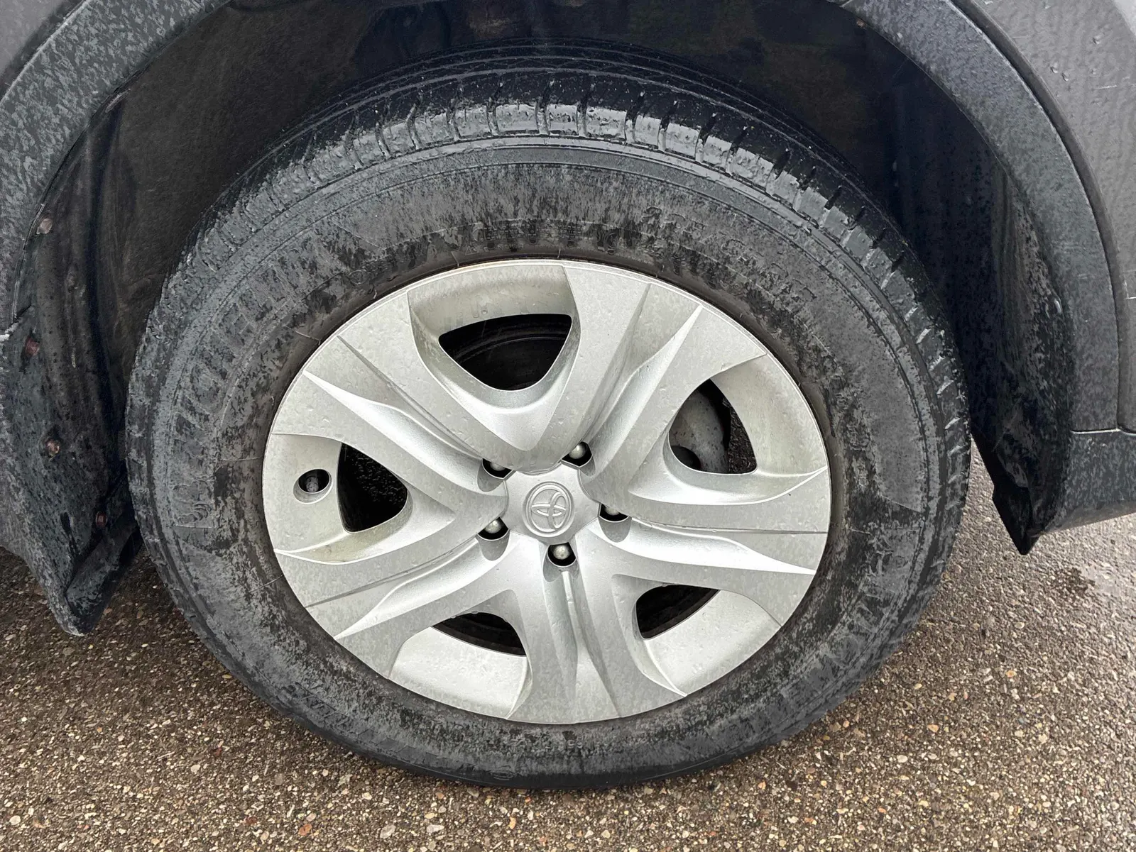 Tire