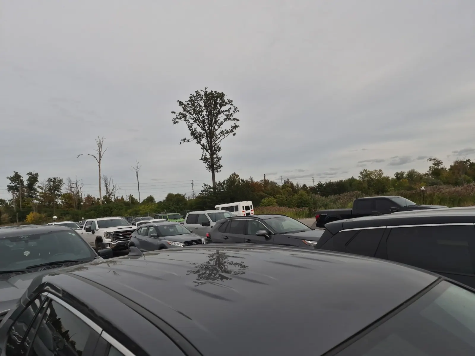 Exterior Roof Photo