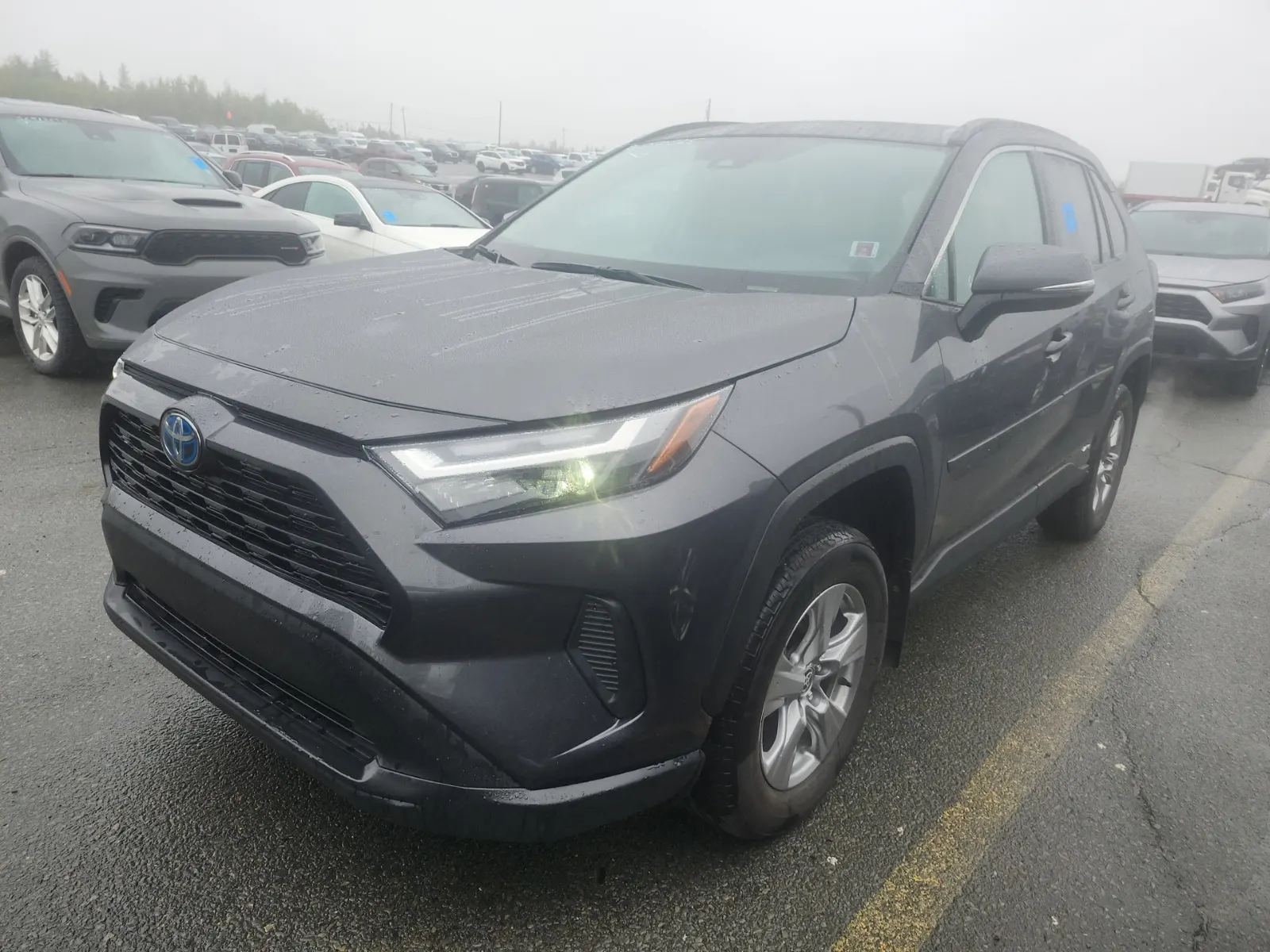 2024 Toyota Rav4