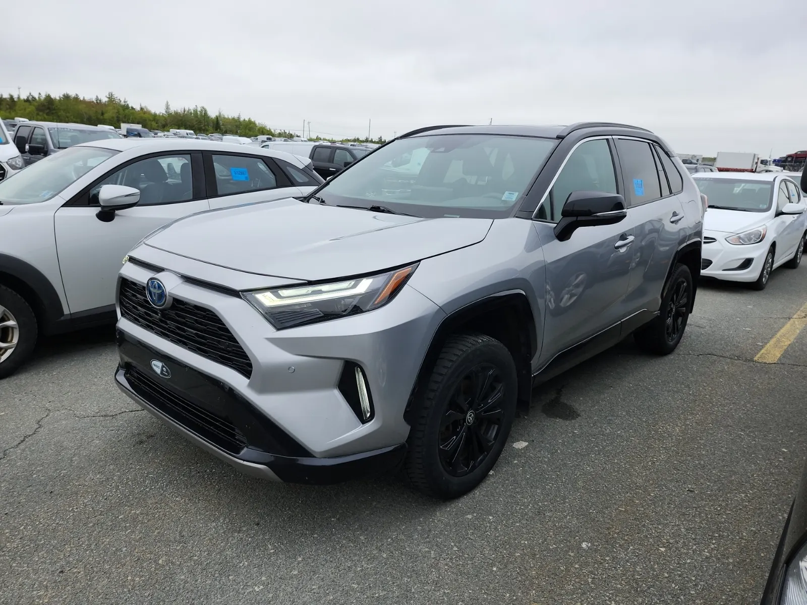 2023 Toyota Rav4