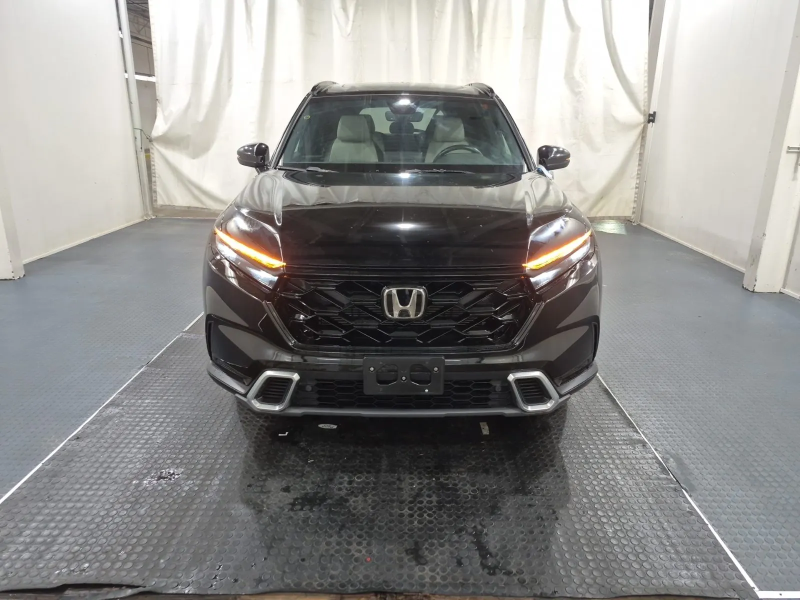 Full Front Photo