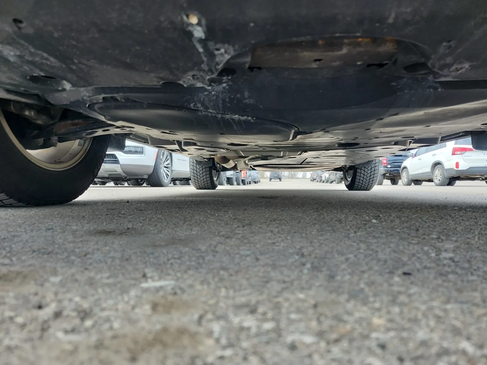 Undercarriage - Front Photo