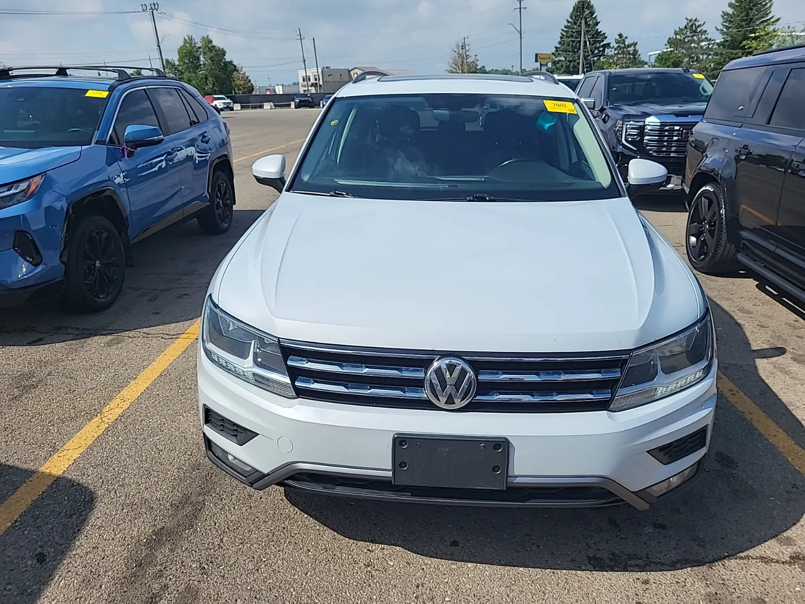 Full Front Photo
