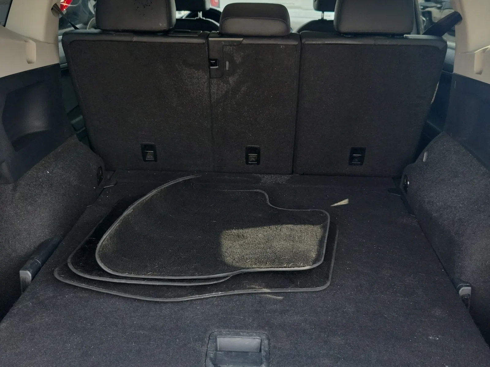 Cargo Area Photo