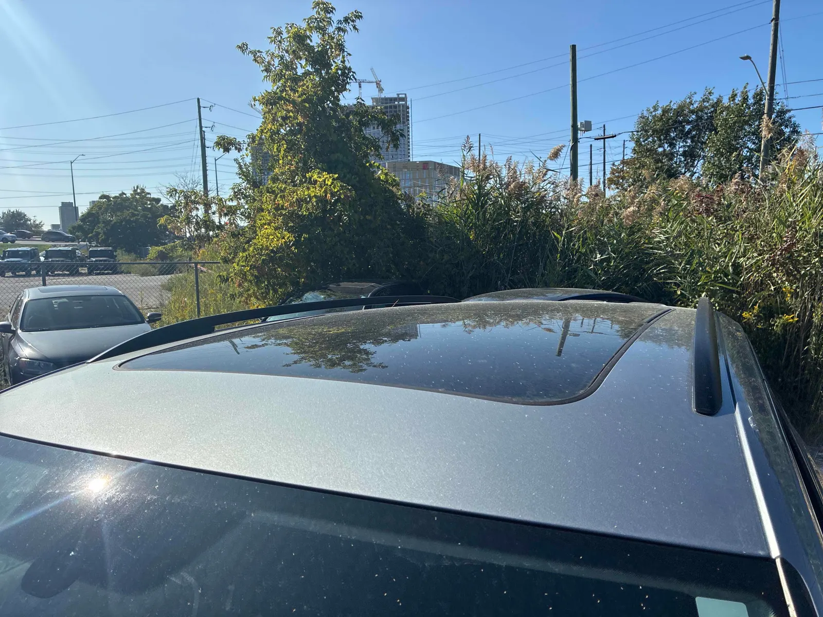 Additional Photo