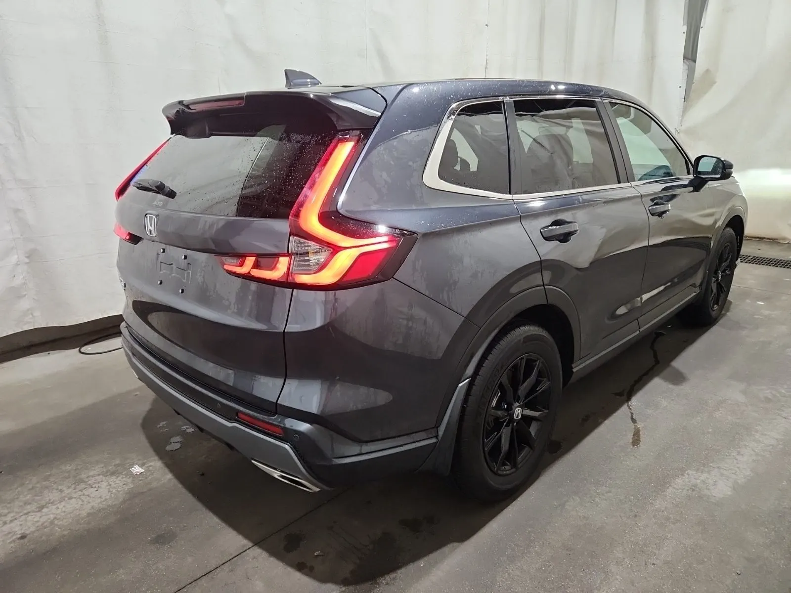 Passenger Rear 3/4 Photo
