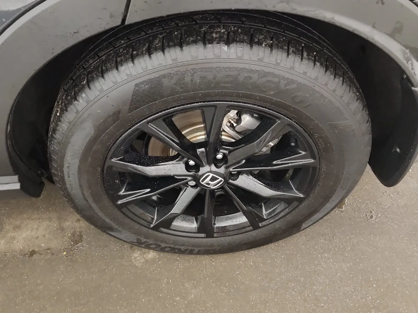 Left Rear Wheel/Tire Photo
