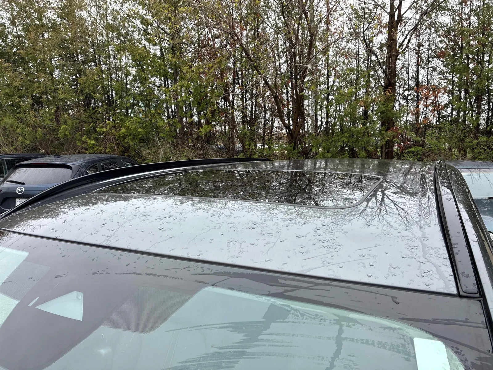 Additional Photo