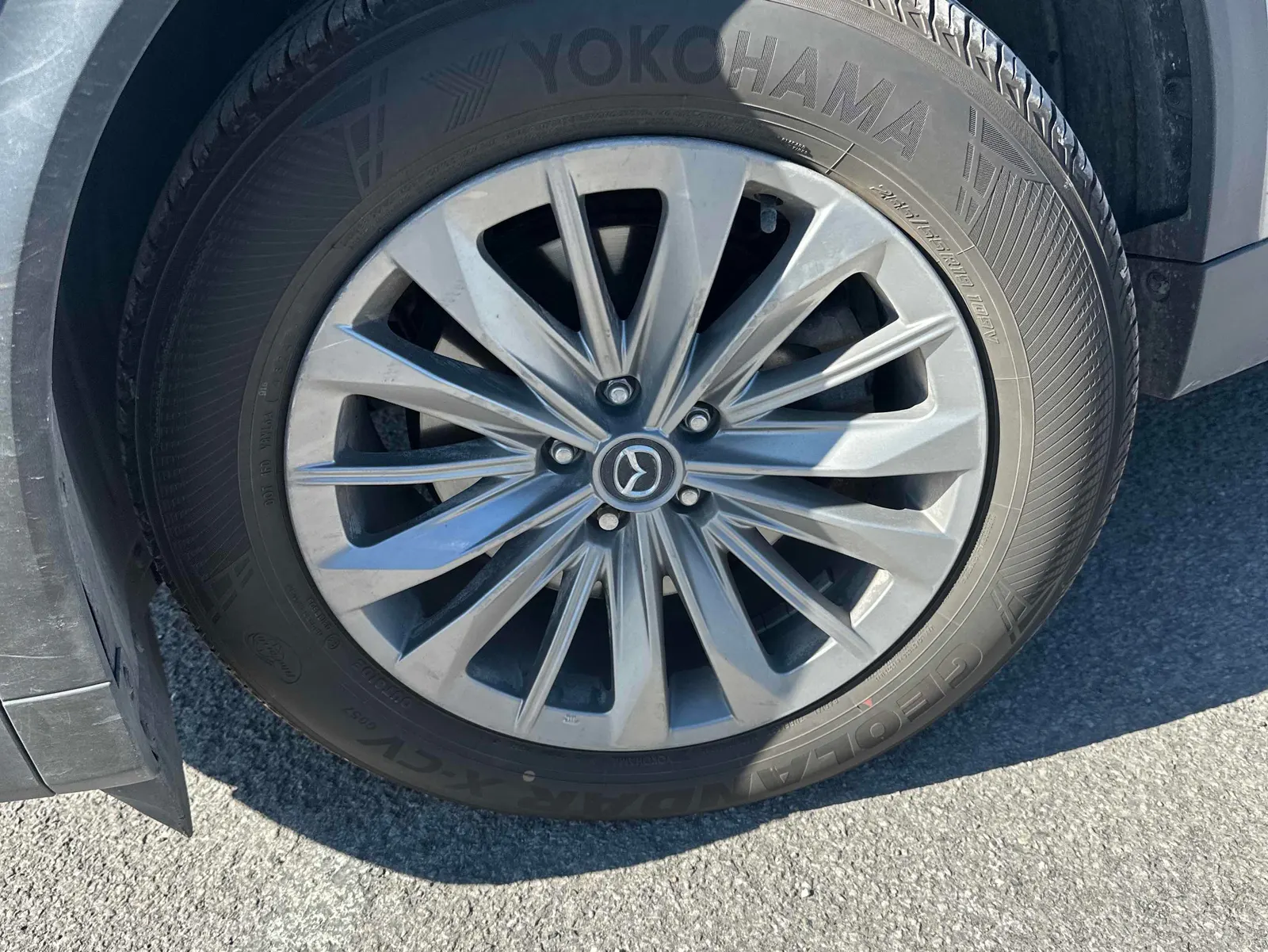Tire