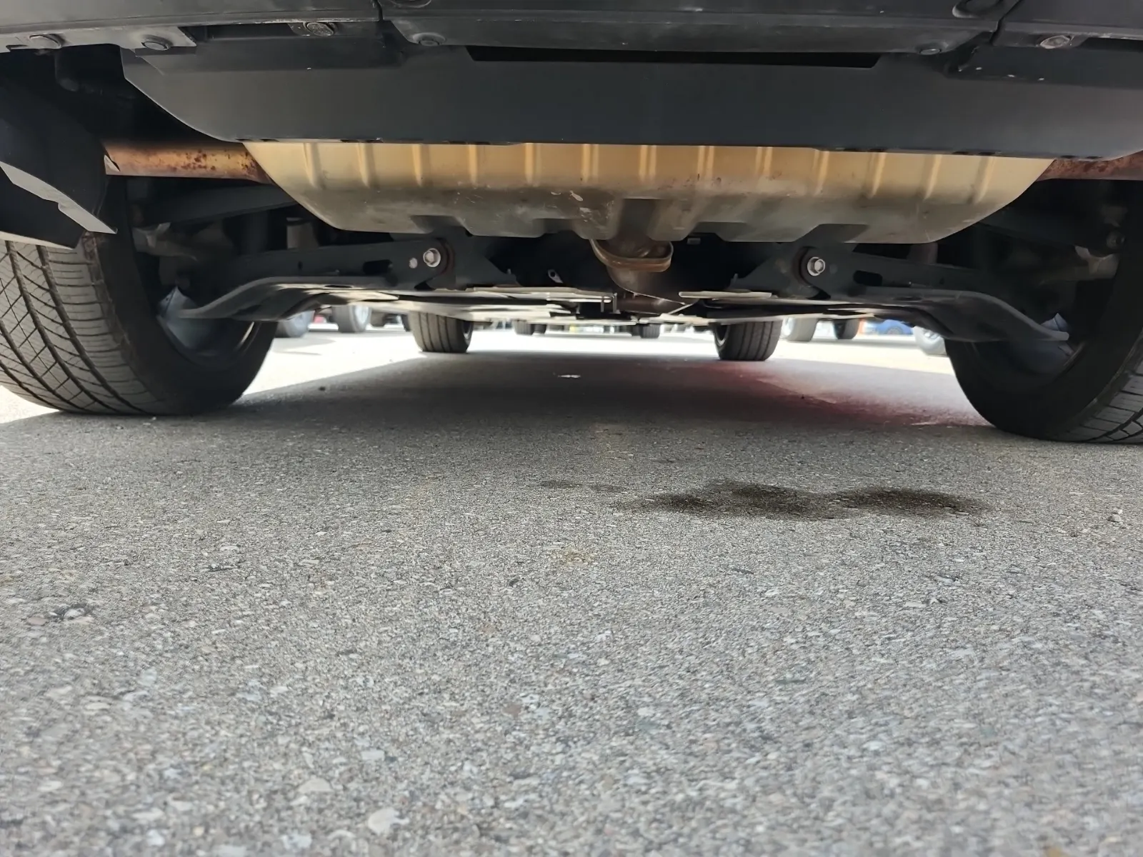 Undercarriage - Rear Photo