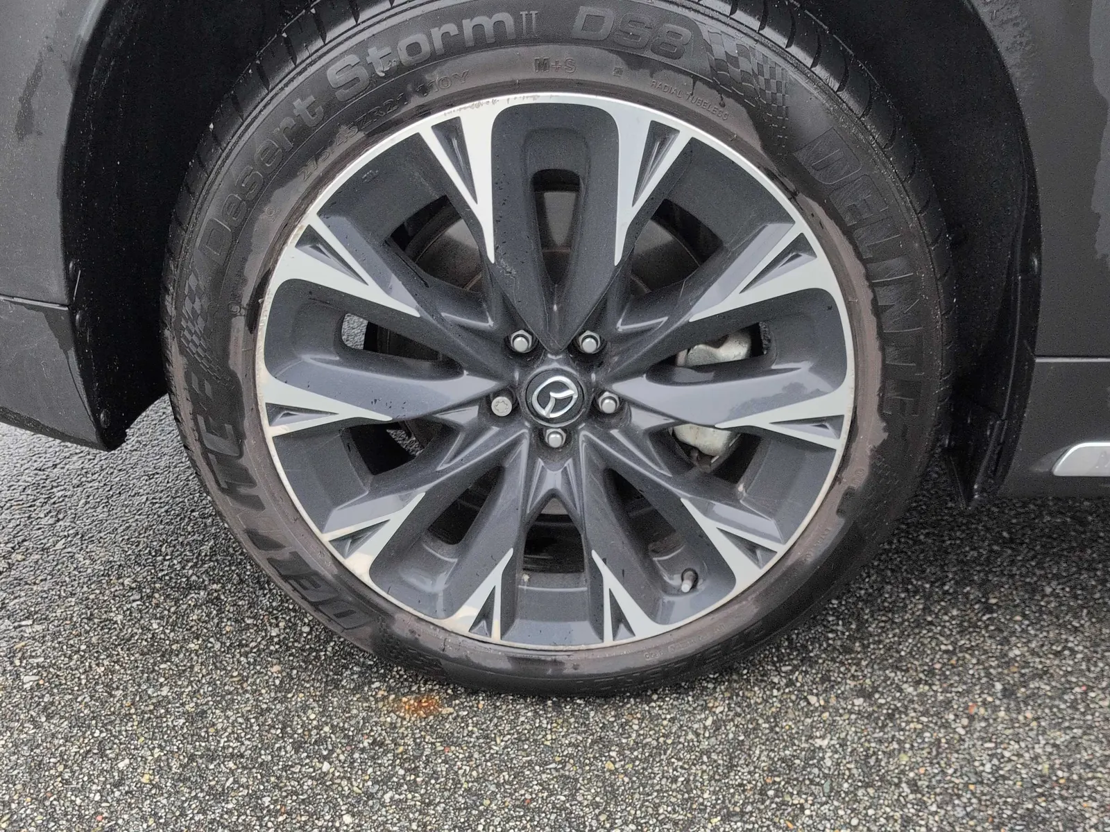 Tire