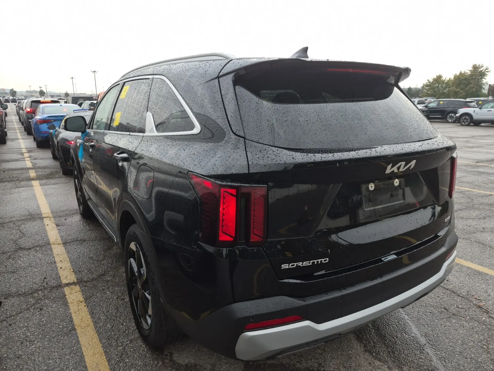 Driver Rear 3/4 Photo