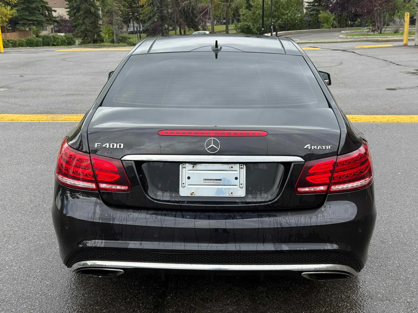 Back