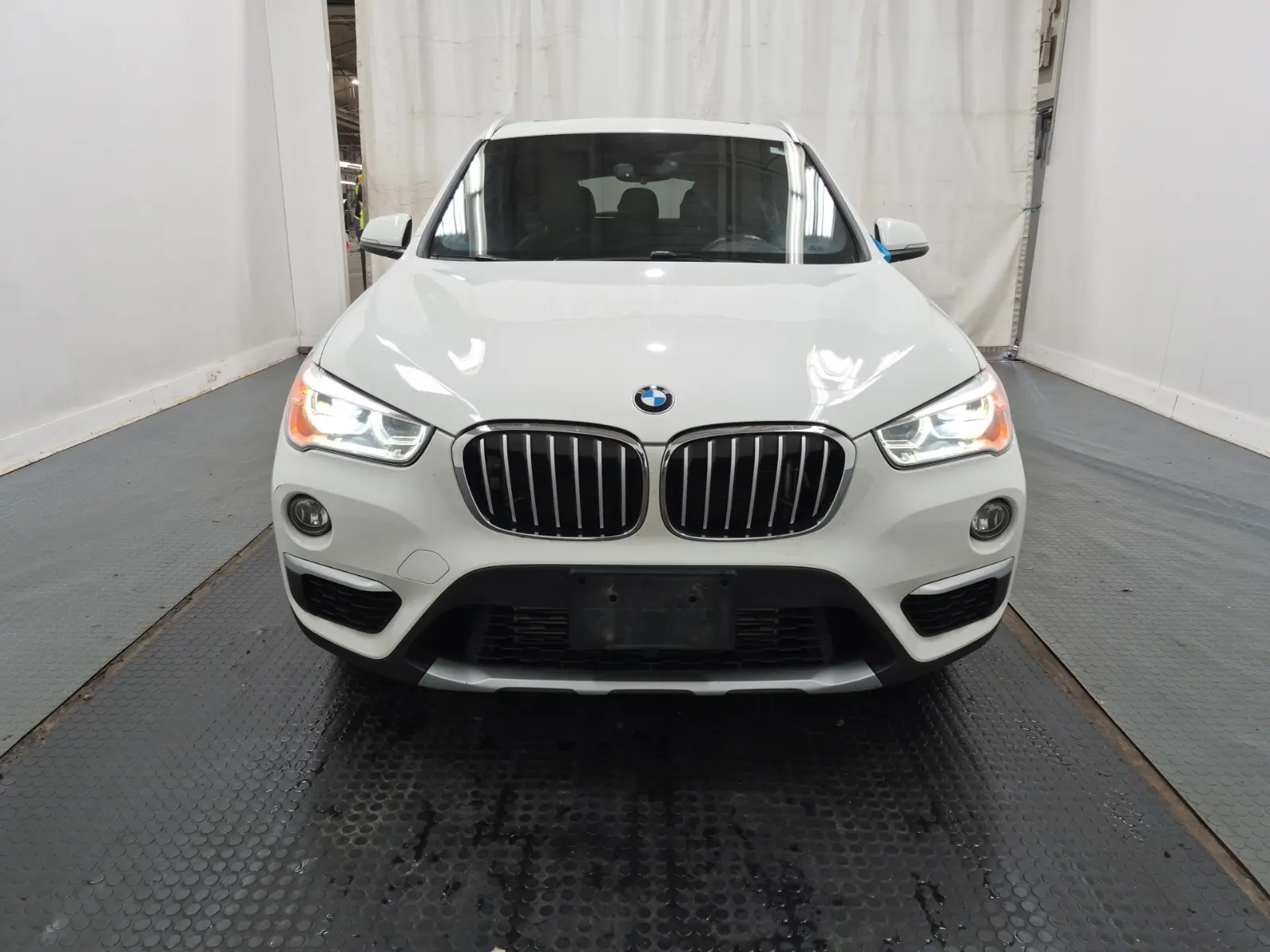 Full Front Photo