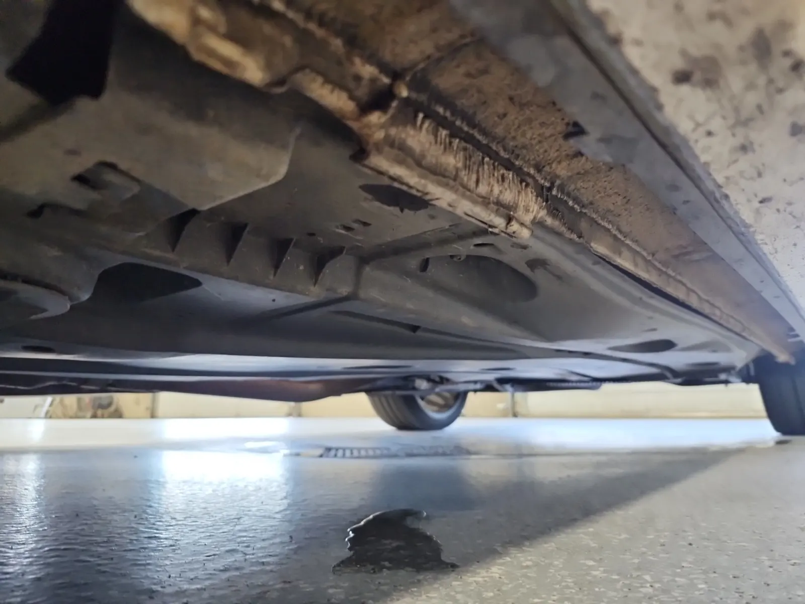 Undercarriage - Driver Photo