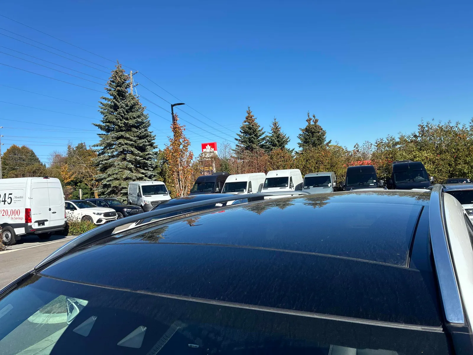 Additional Photo