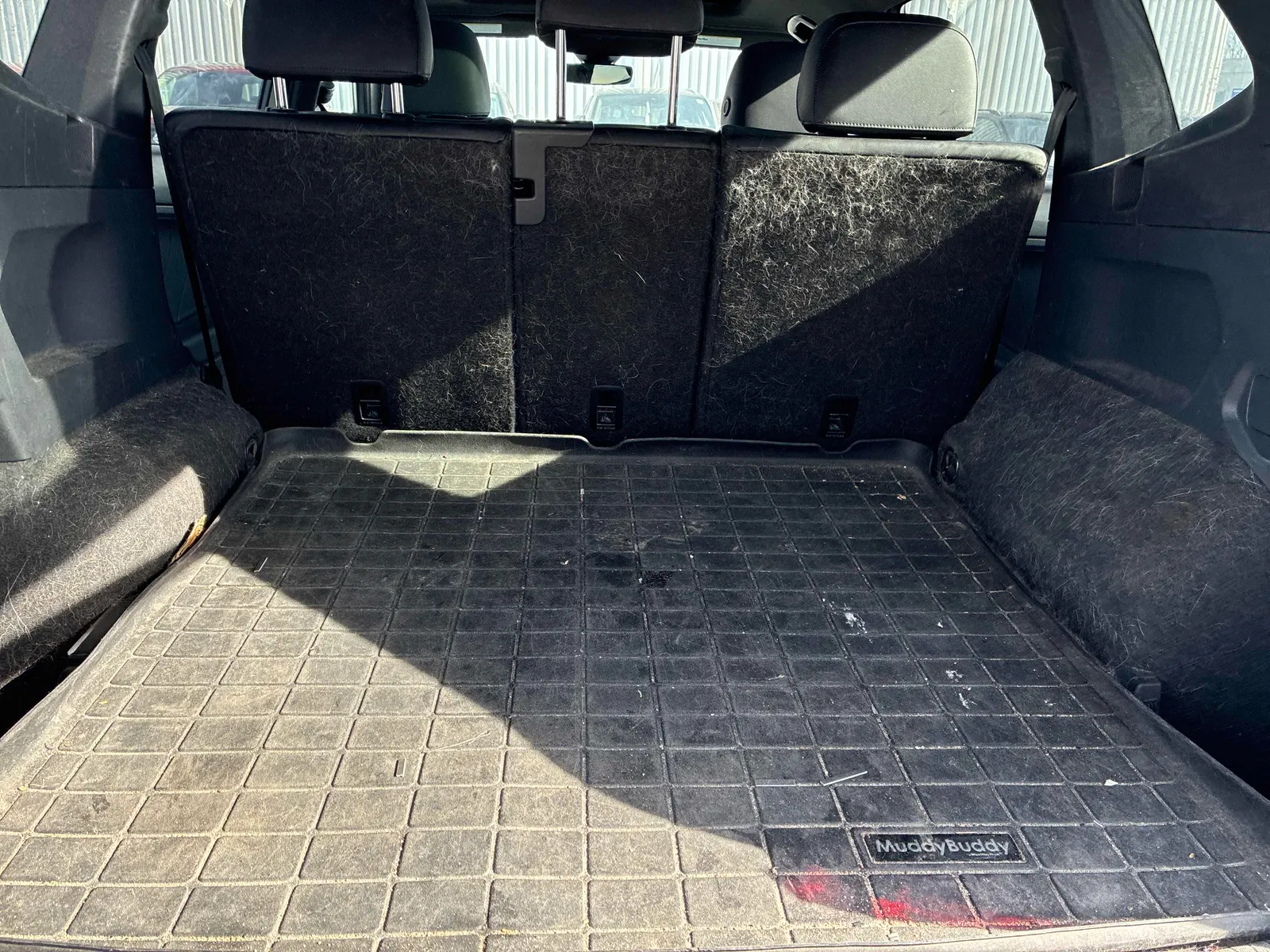 Additional Photo