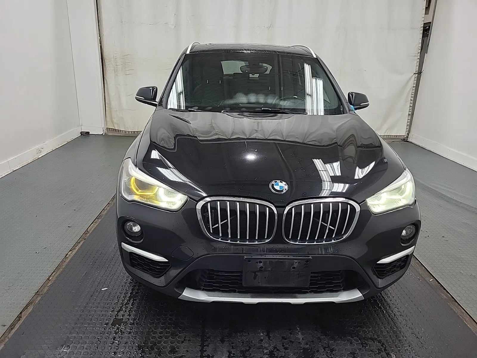 Full Front Photo