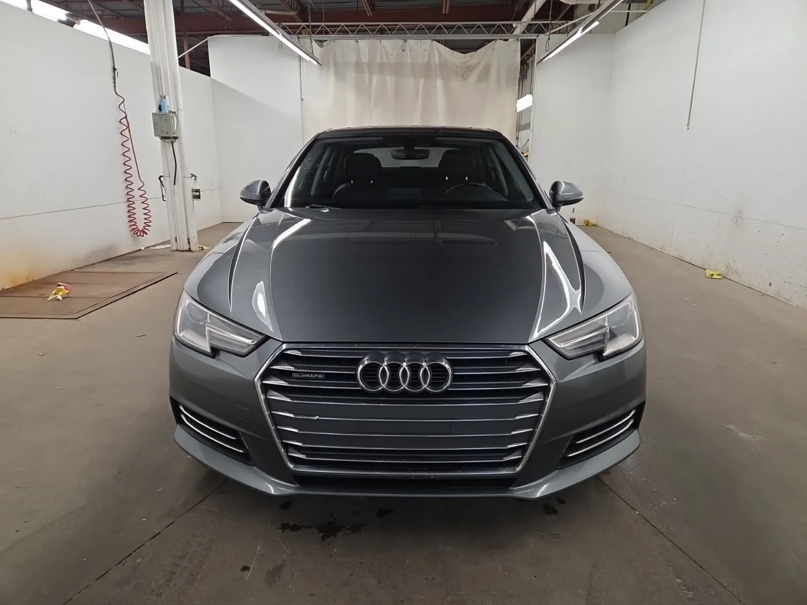 Full Front Photo