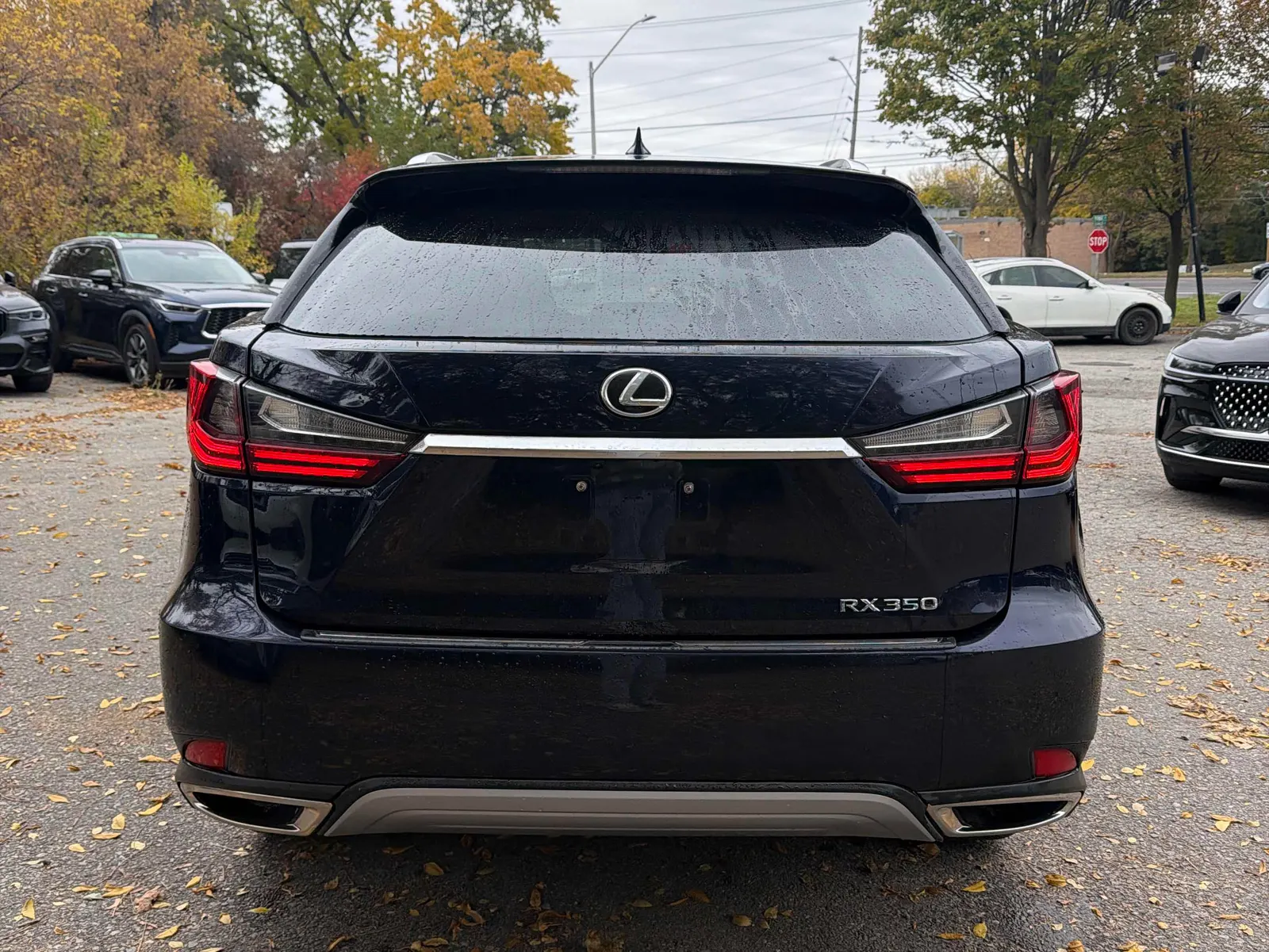 Back