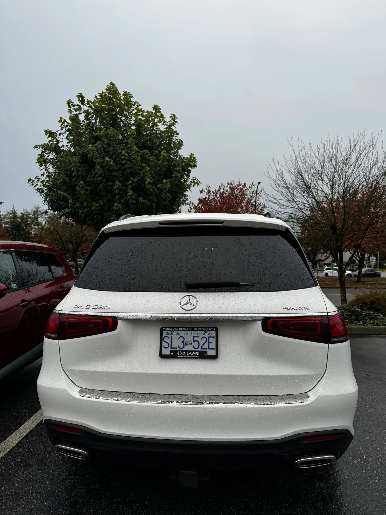 Back