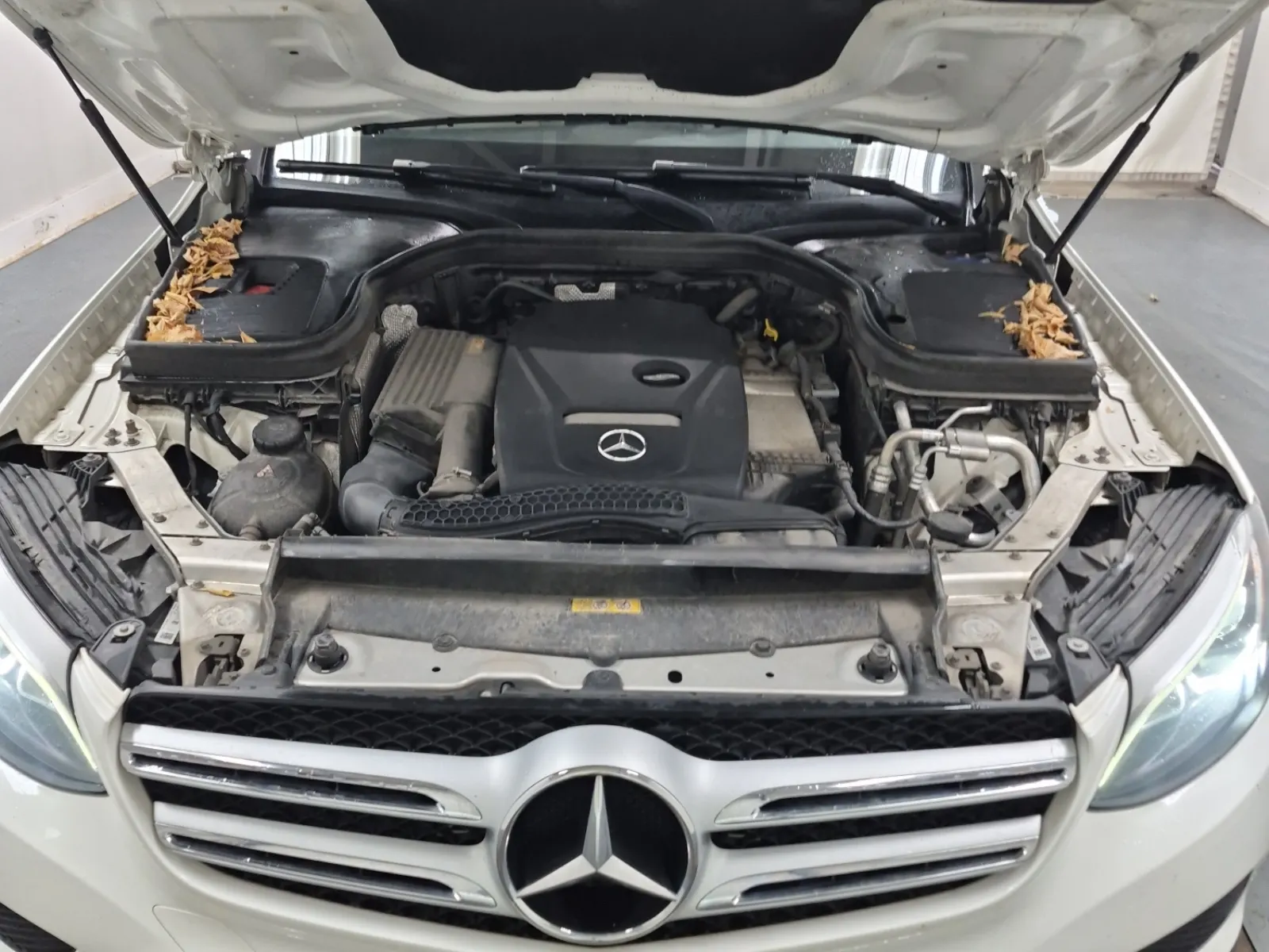 Engine Photo