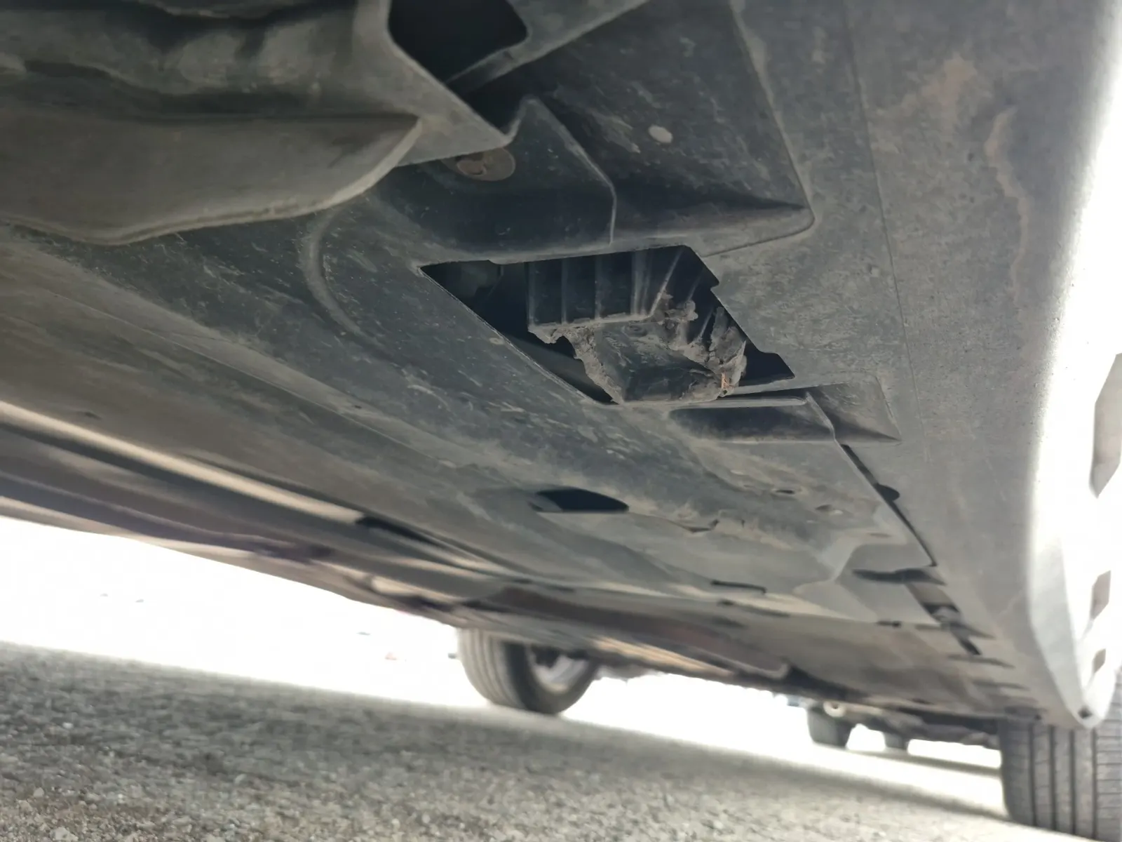 Undercarriage - Passenger Photo