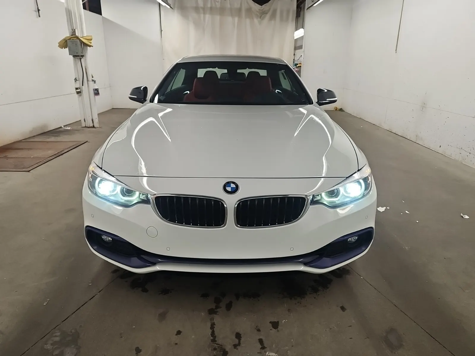 Full Front Photo