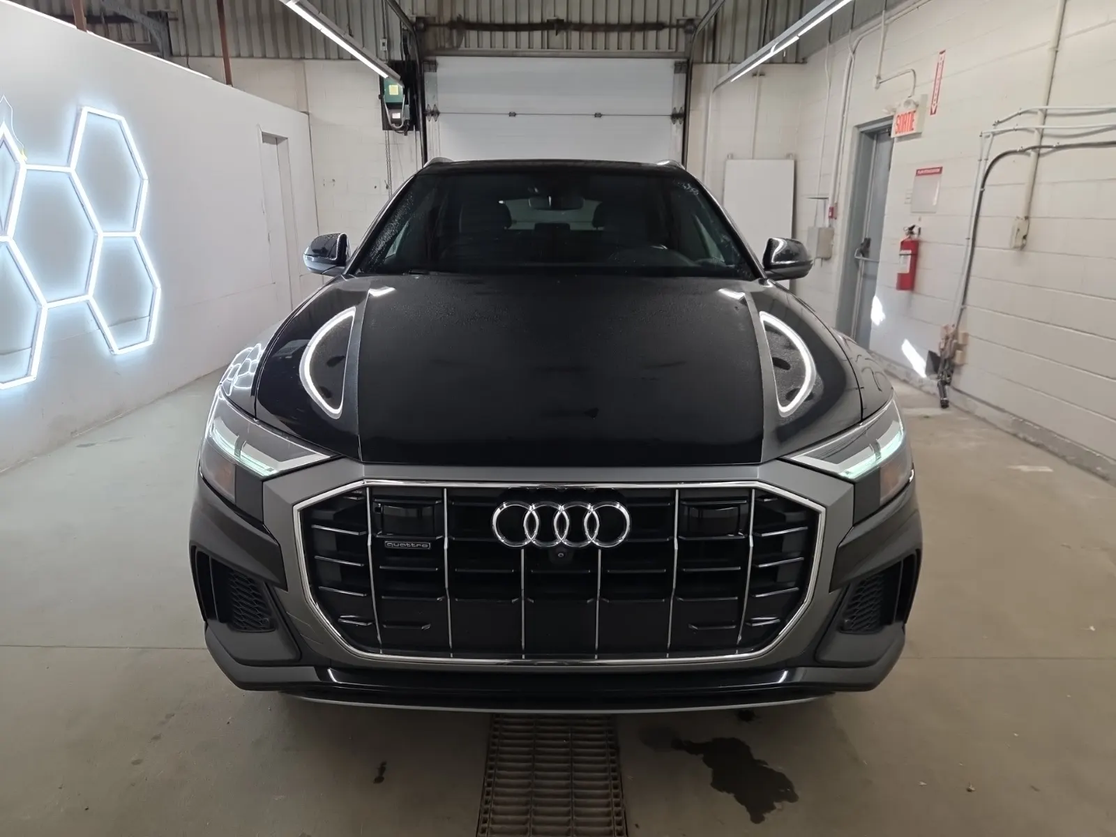 Full Front Photo