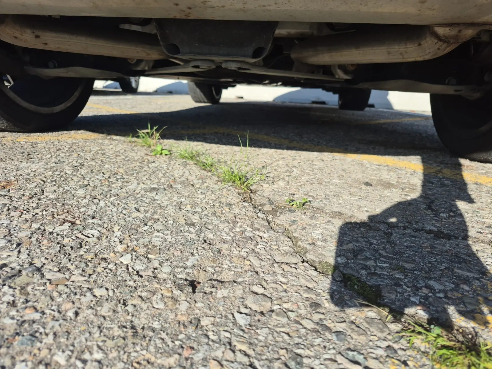 Undercarriage - Rear Photo