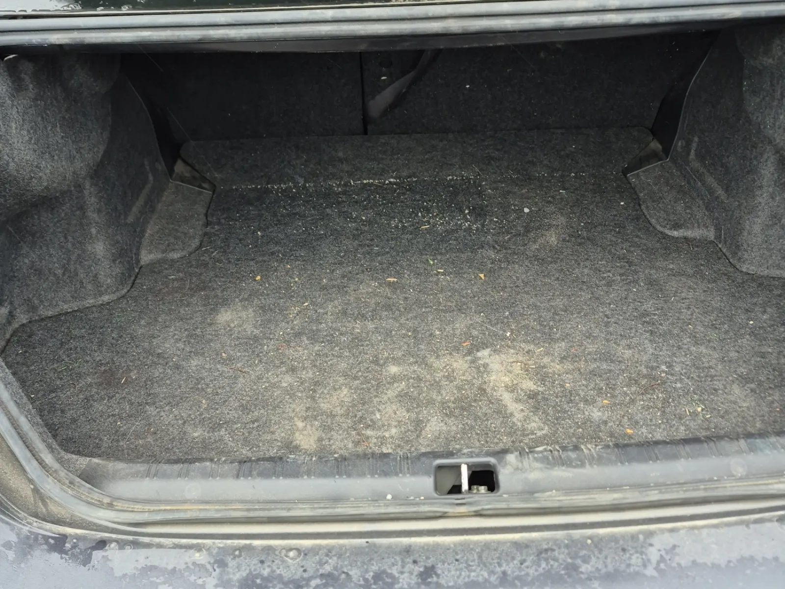 Cargo Area Photo