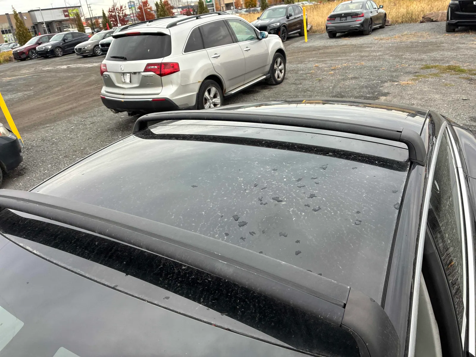 Additional Photo