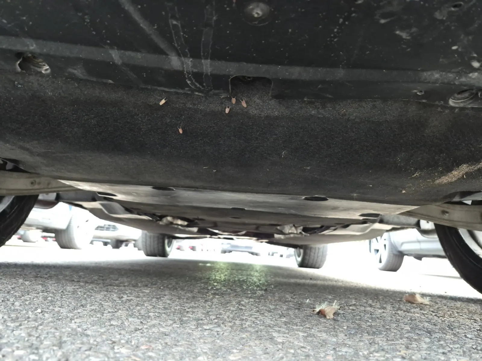 Undercarriage - Front Photo