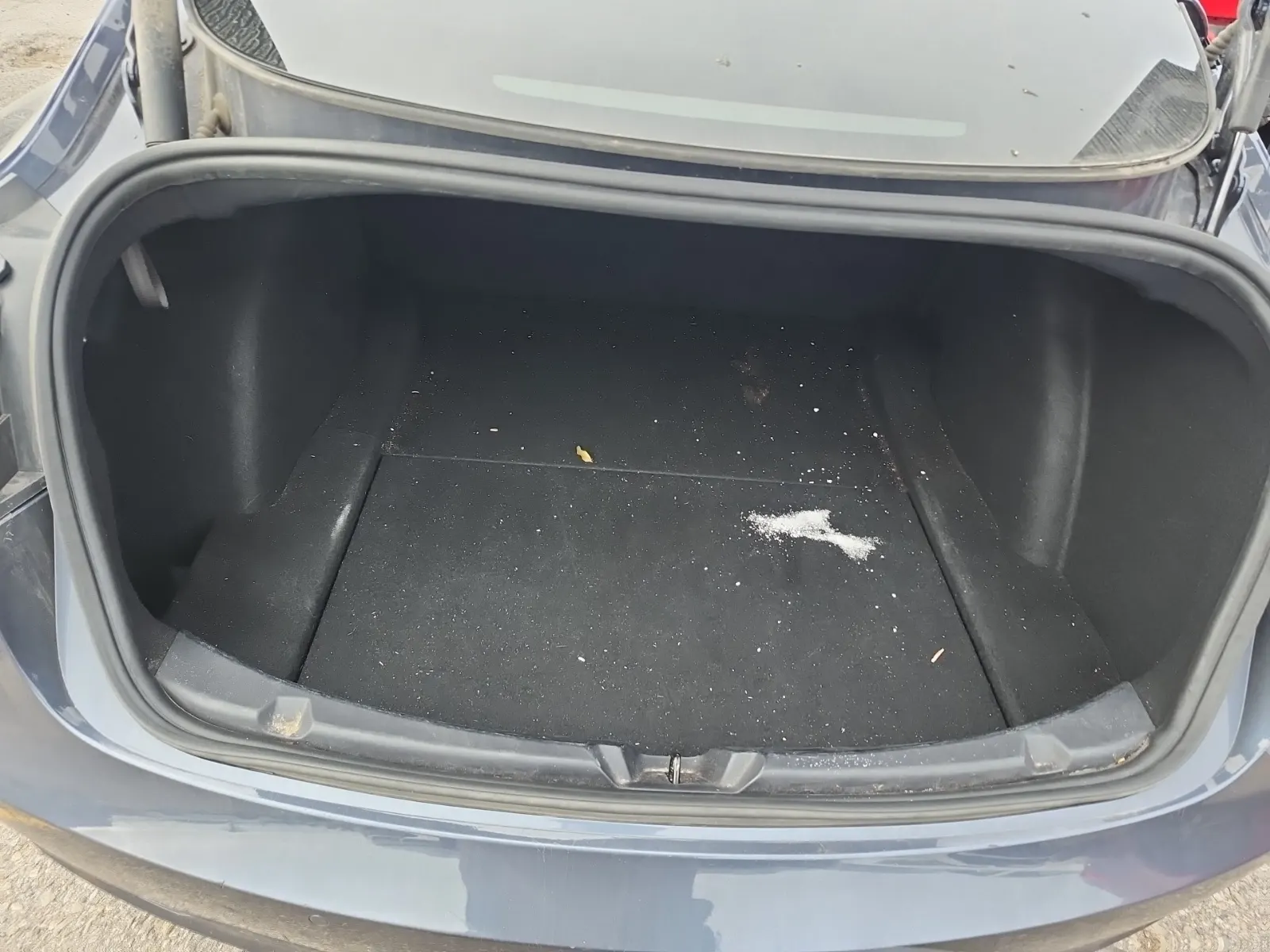 Cargo Area Photo