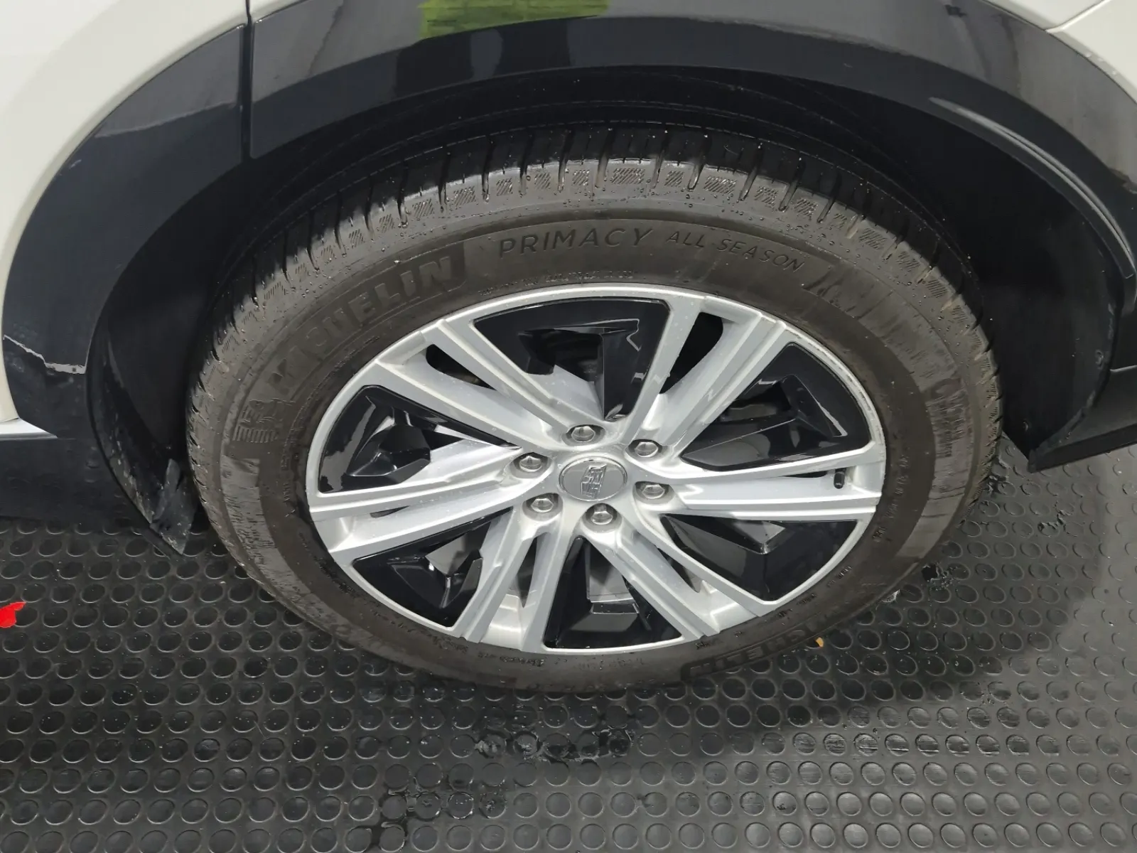 Left Rear Wheel/Tire Photo