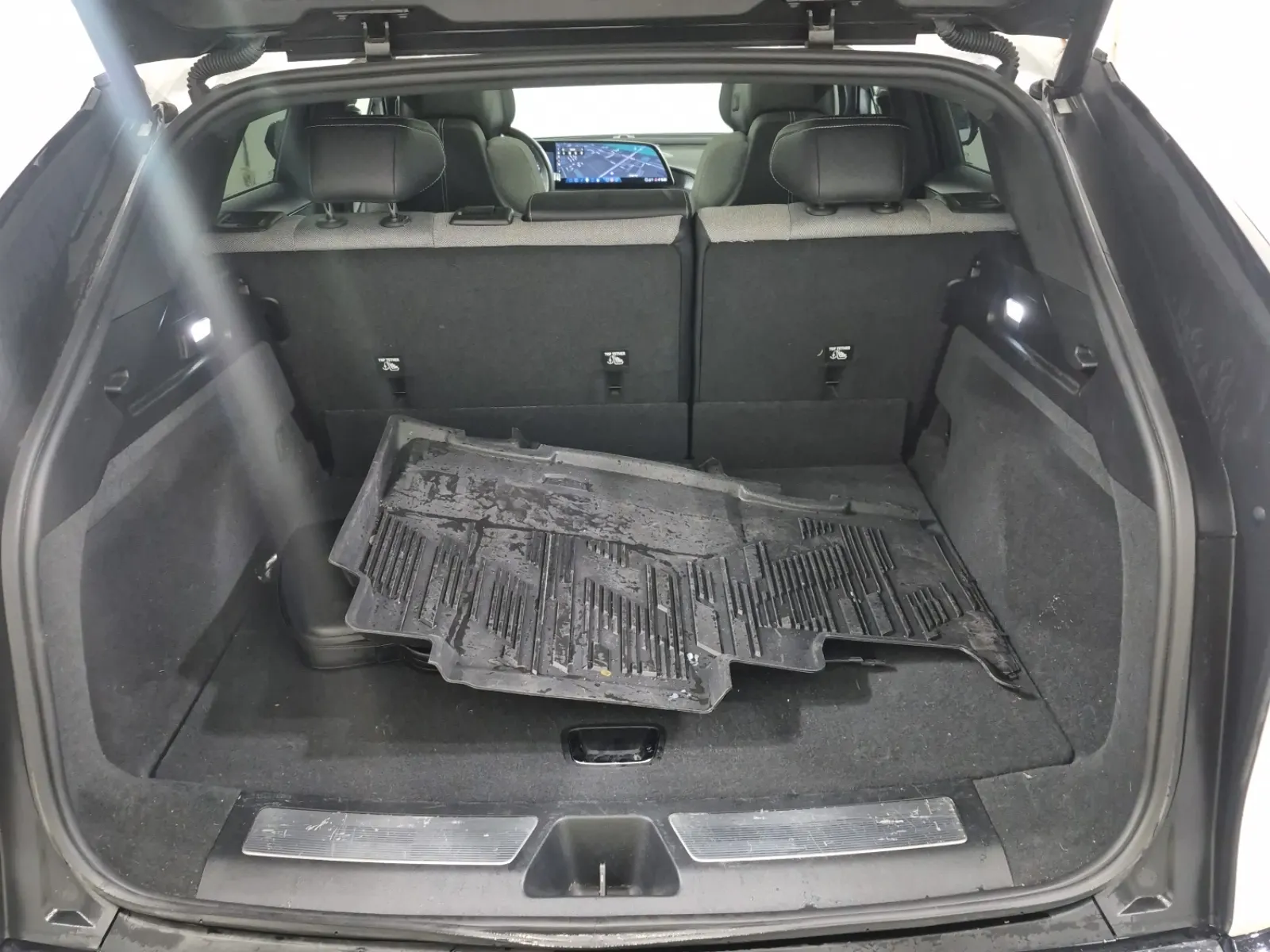 Cargo Area Photo