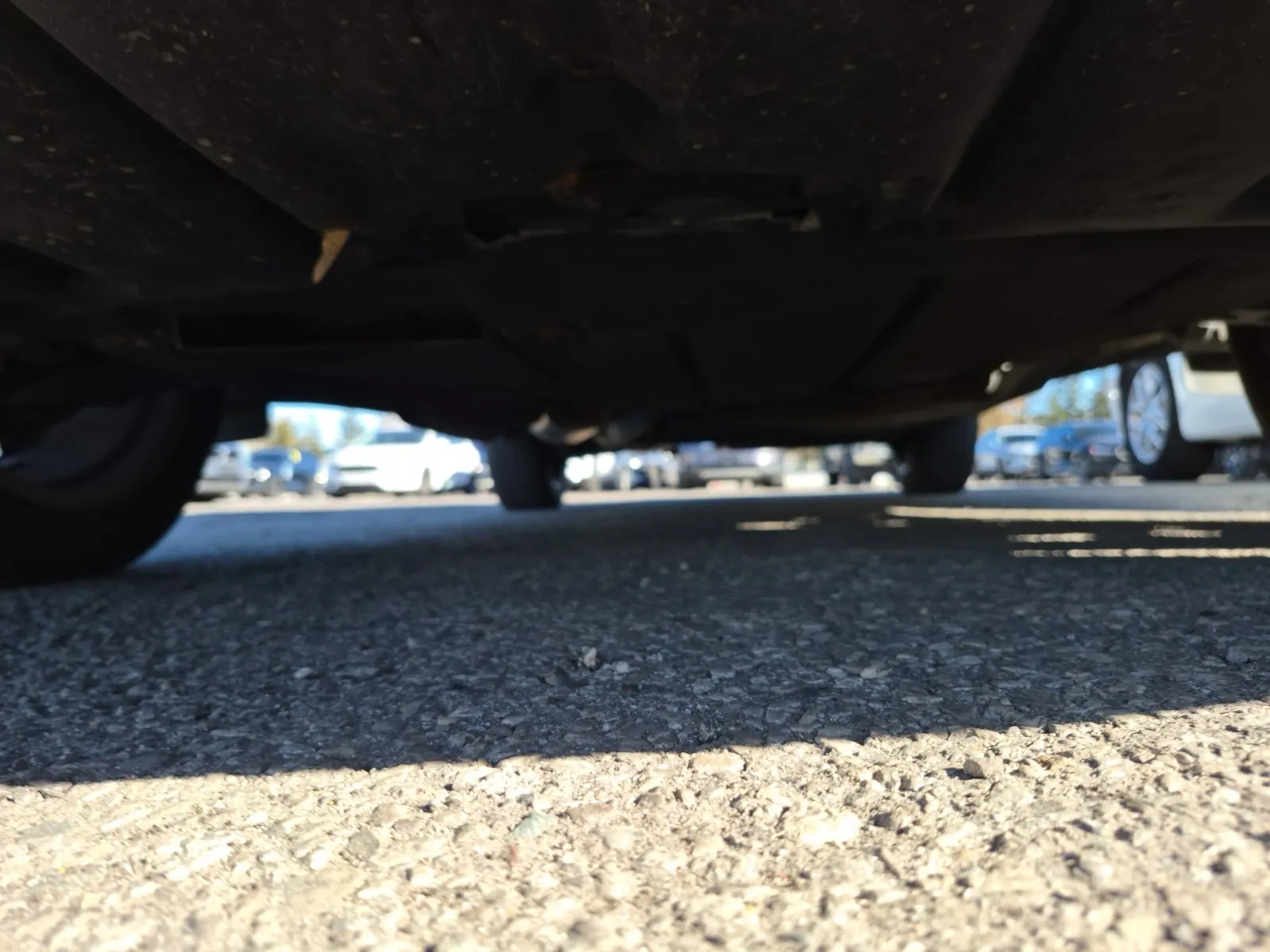 Undercarriage - Front Photo
