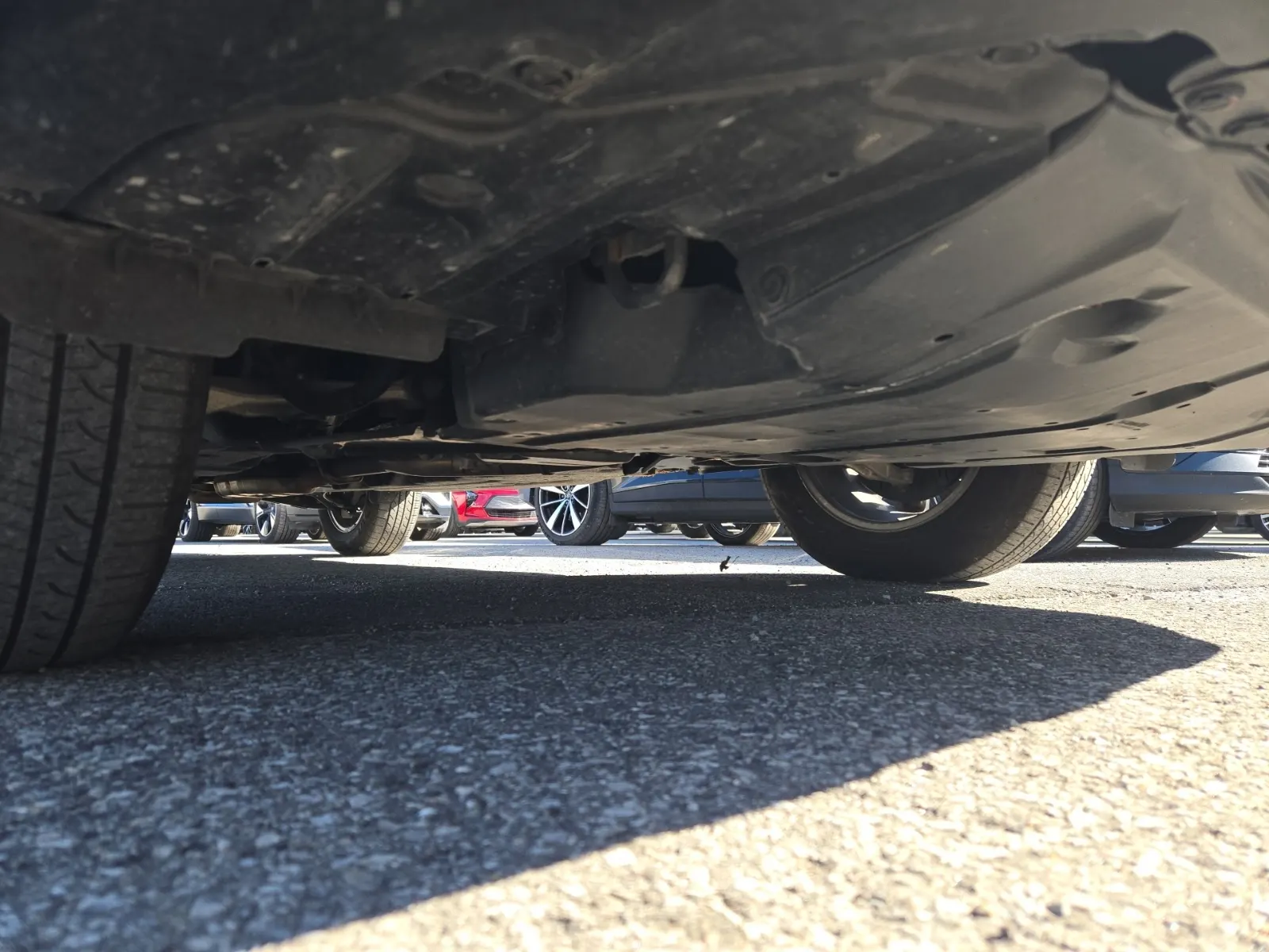 Undercarriage - Front Photo
