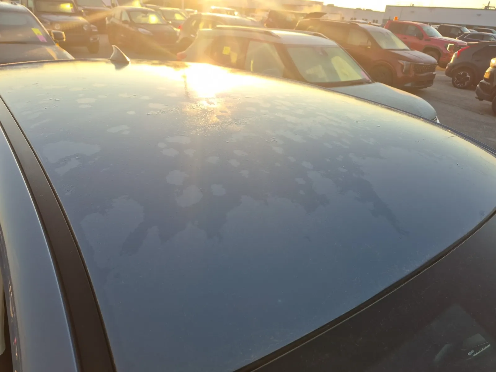Exterior Roof Photo