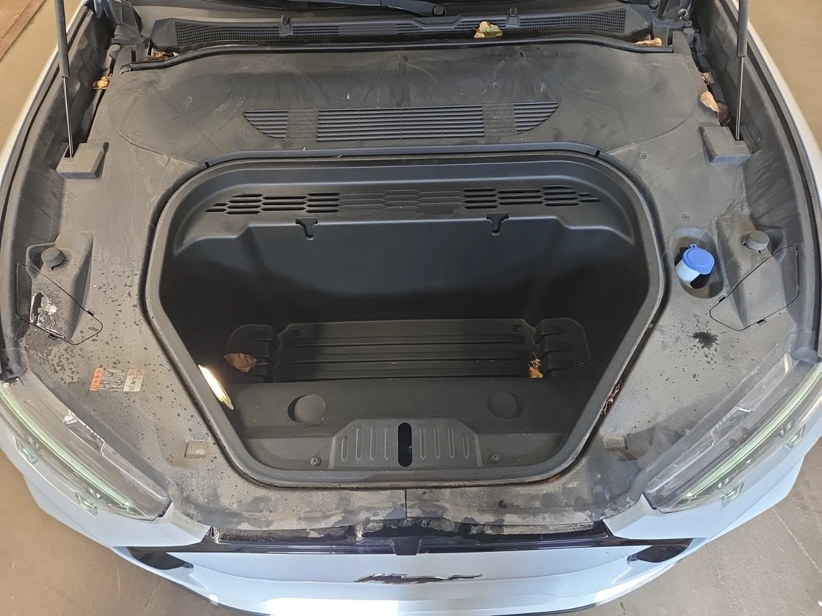 Engine Photo