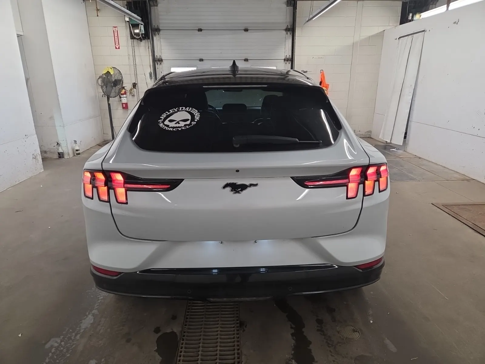 Full Rear Photo