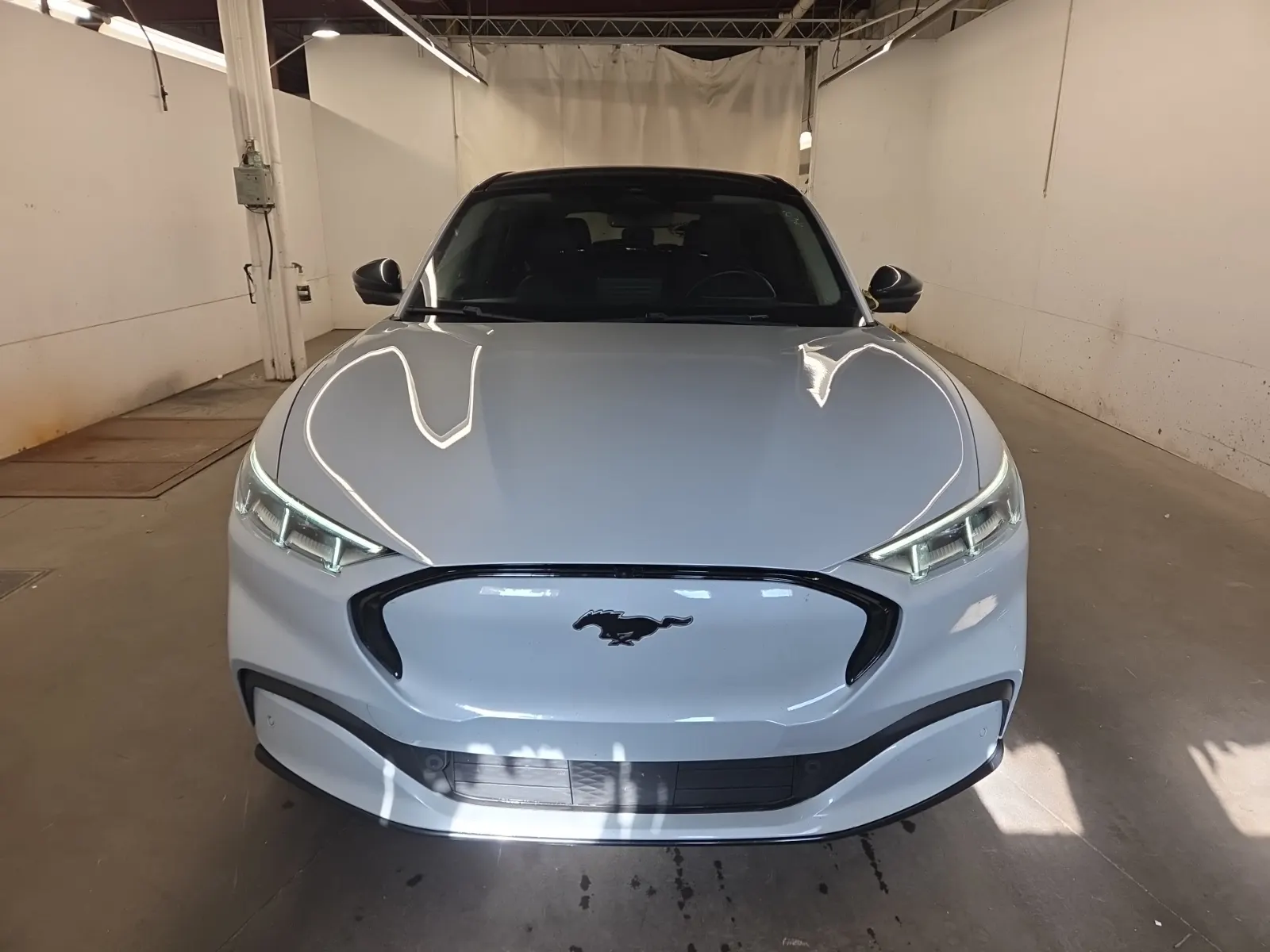 Full Front Photo