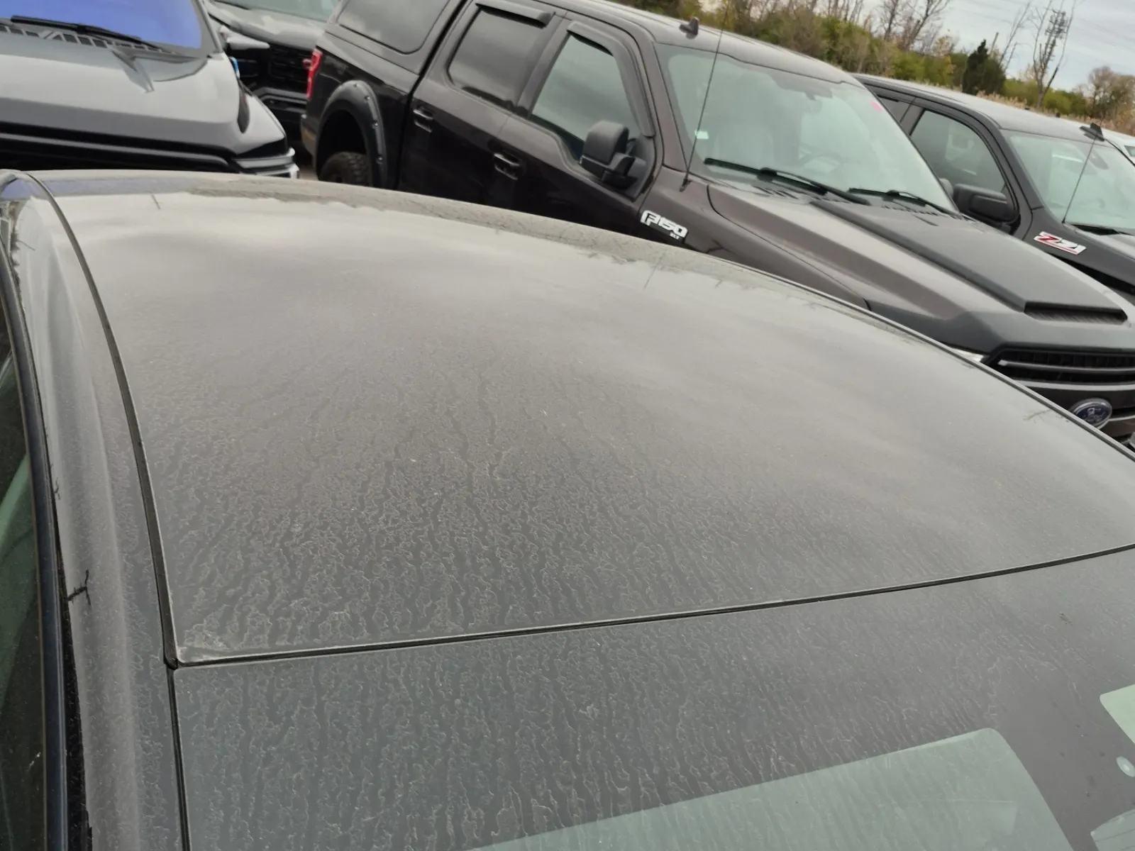 Exterior Roof Photo