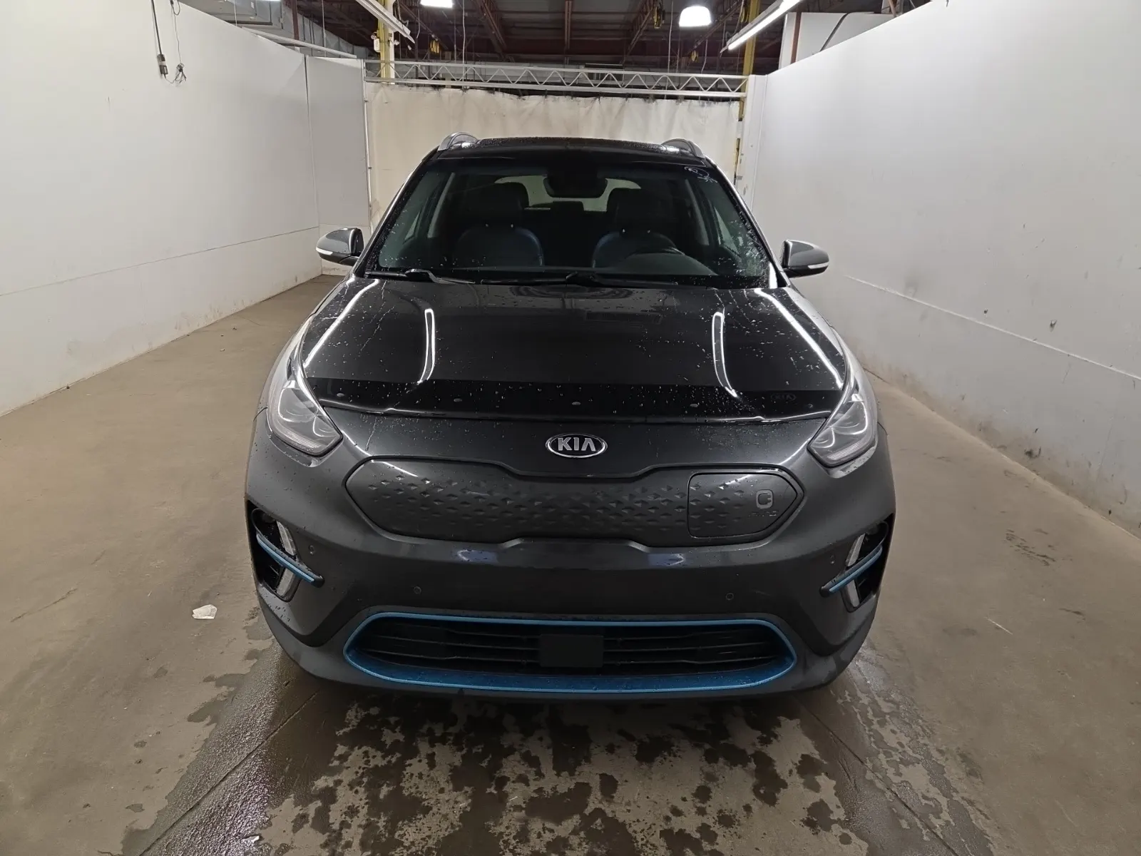 Full Front Photo