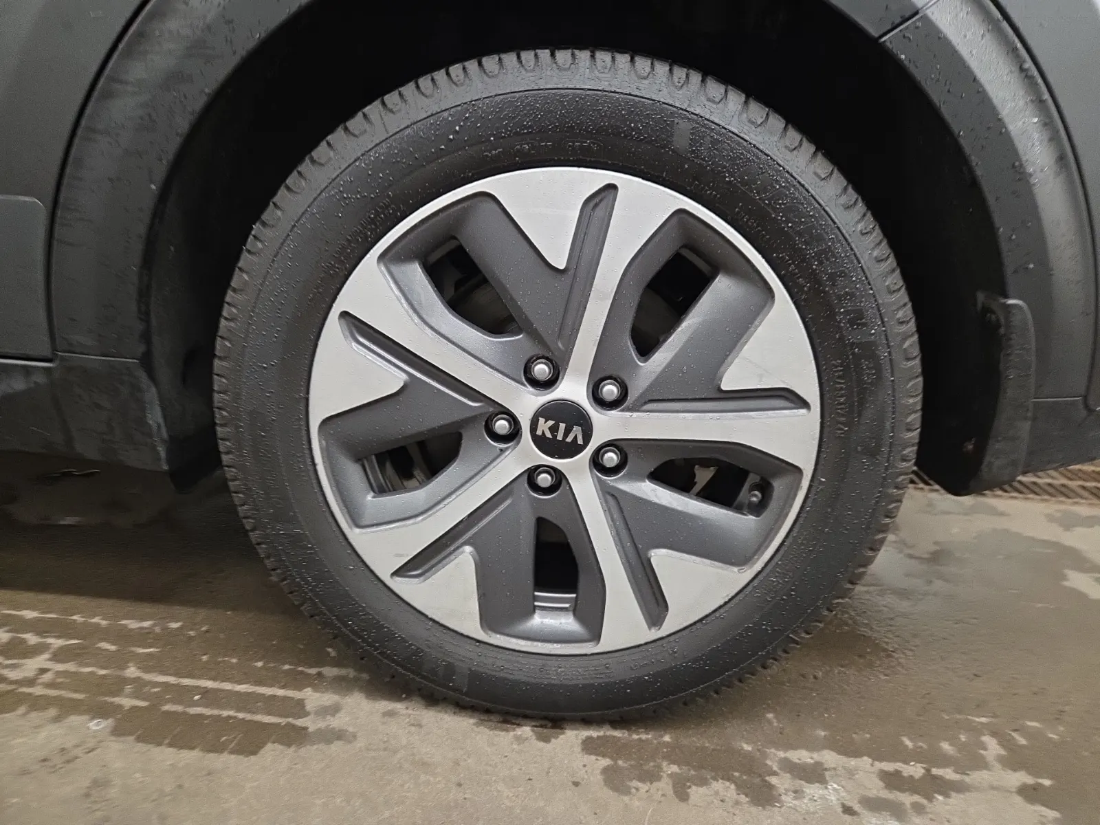 Left Rear Wheel/Tire Photo