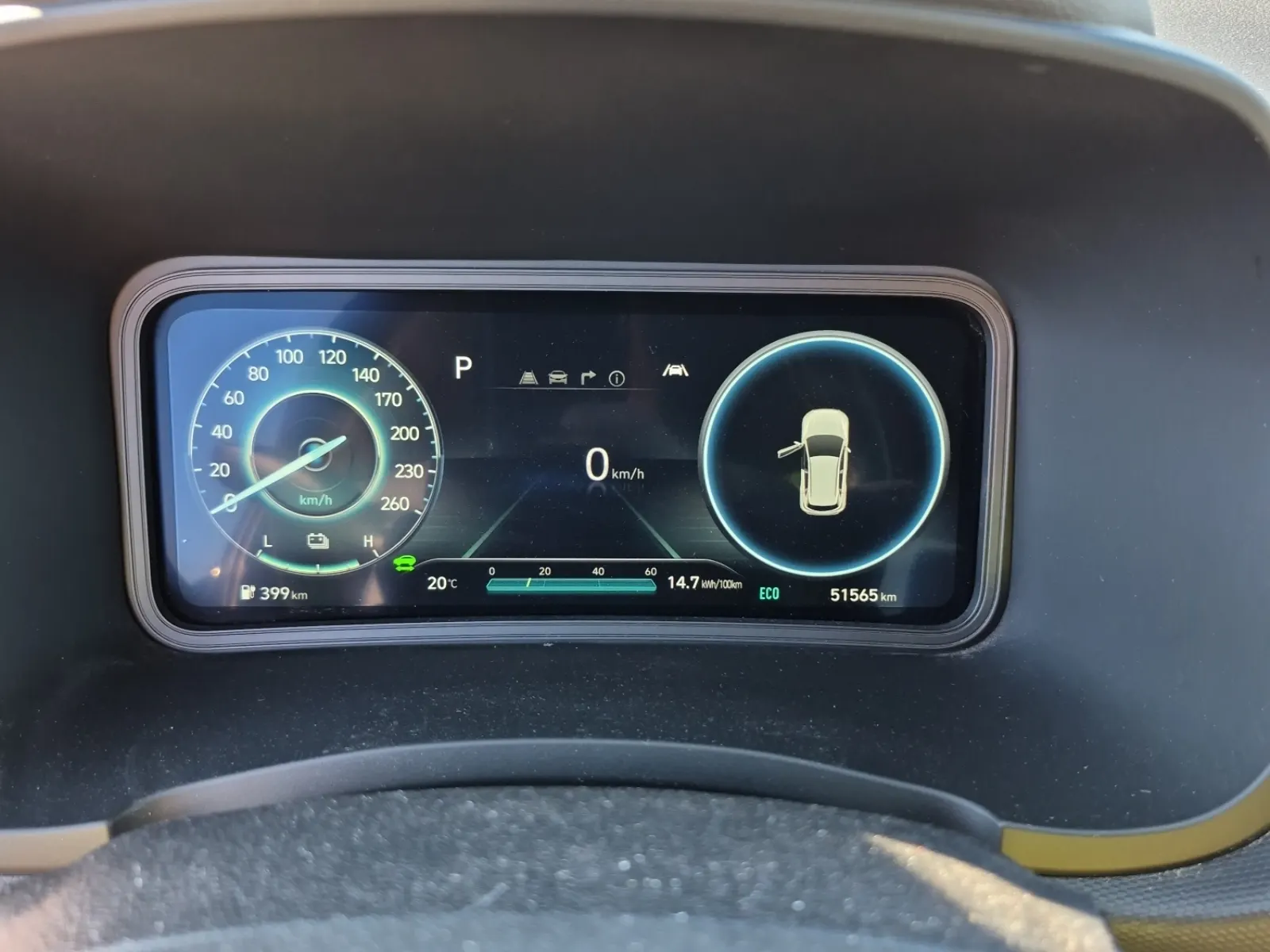 Odometer Photo