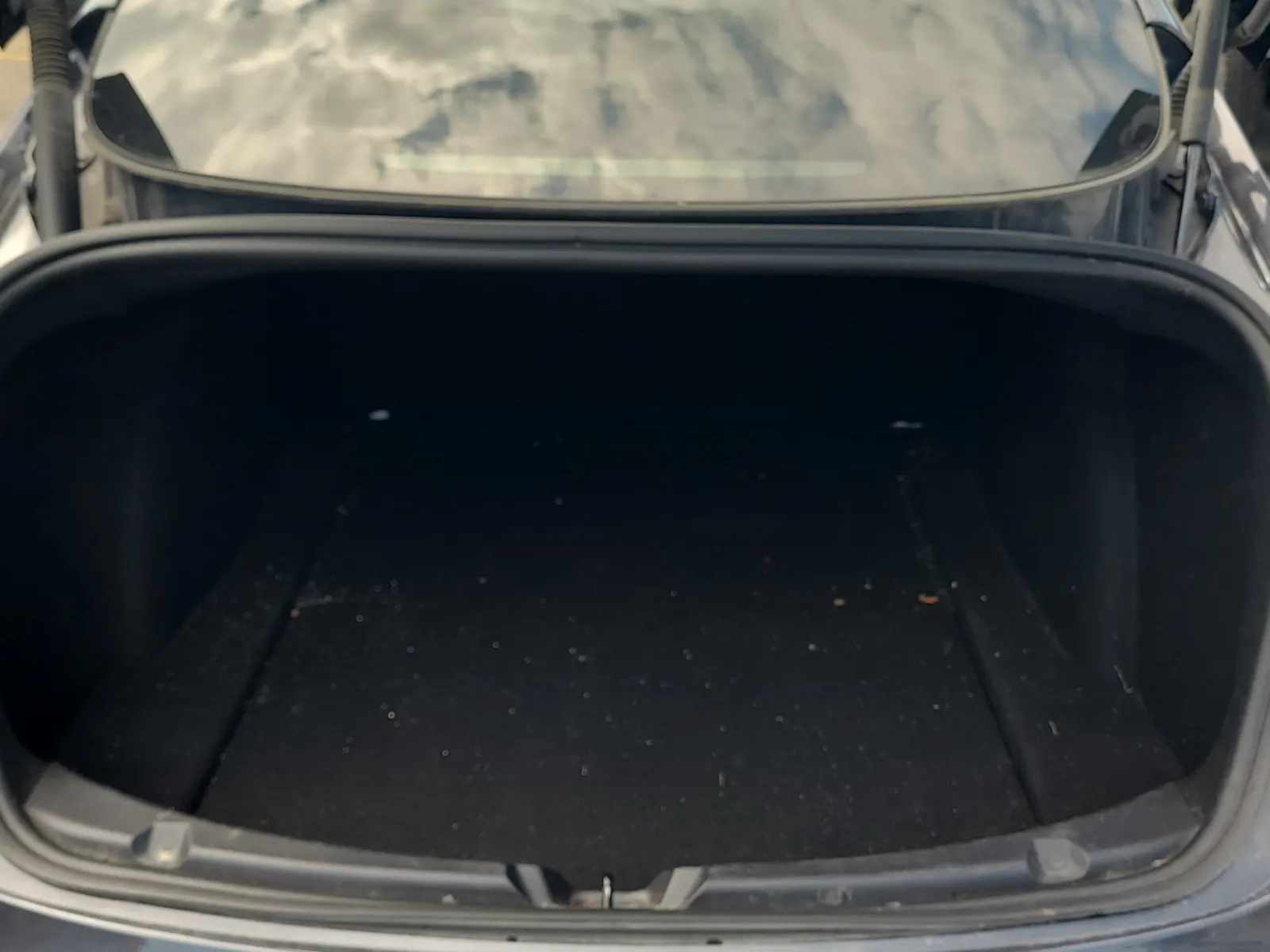 Cargo Area Photo