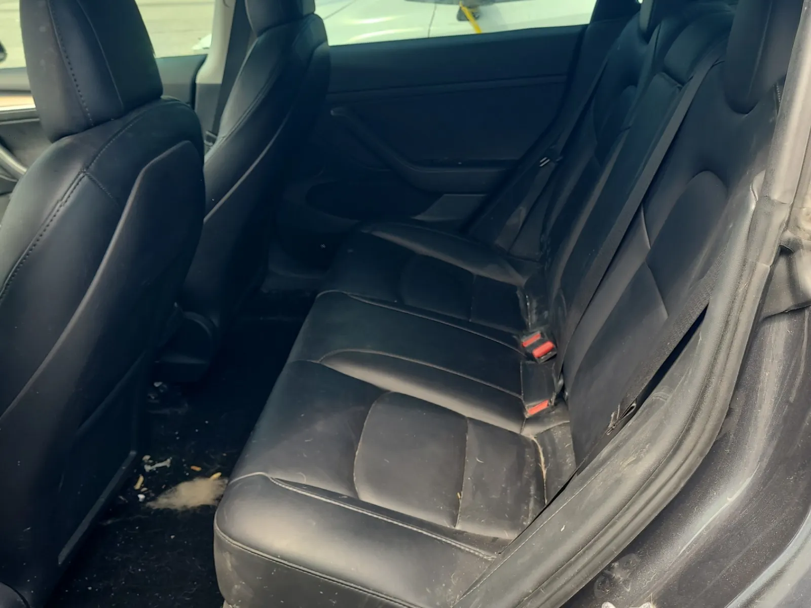 Rear Interior Photo