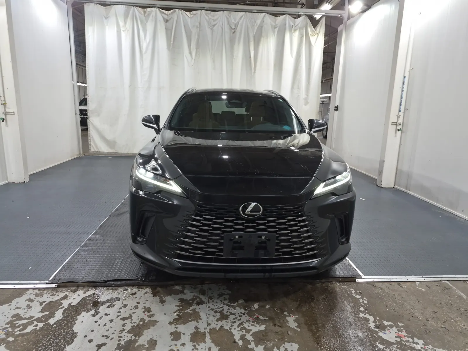 Full Front Photo