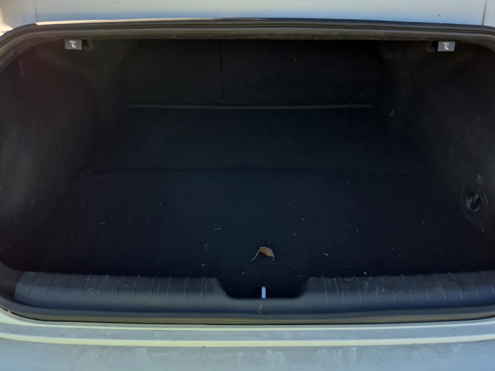 Cargo Area Photo